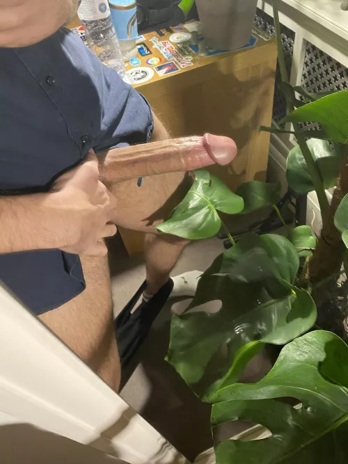 is he pretty? by Salame-Pazzo