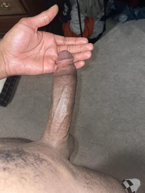 Is it big enough? [OC] by brannbell