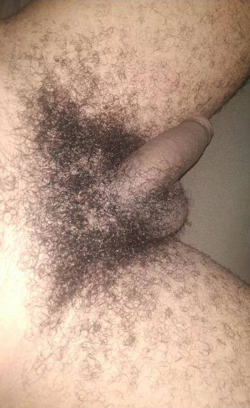 Is it hairy enough? by Bihairy