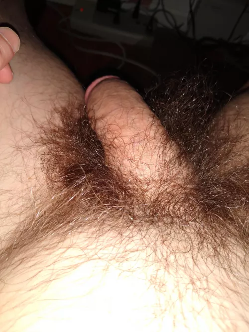 Is it hairy enough for you?