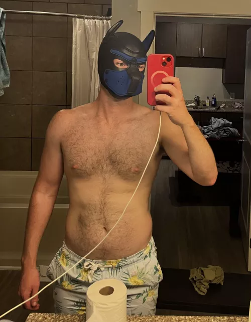 Is it ok if I try to be a good boy? by EmergenceHumor