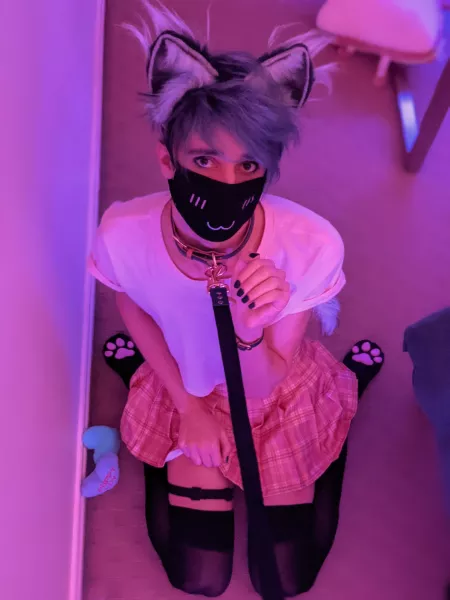 Is my breed of pup allowed here? I’m well trained!! 🐾🐶 by FemboyPup