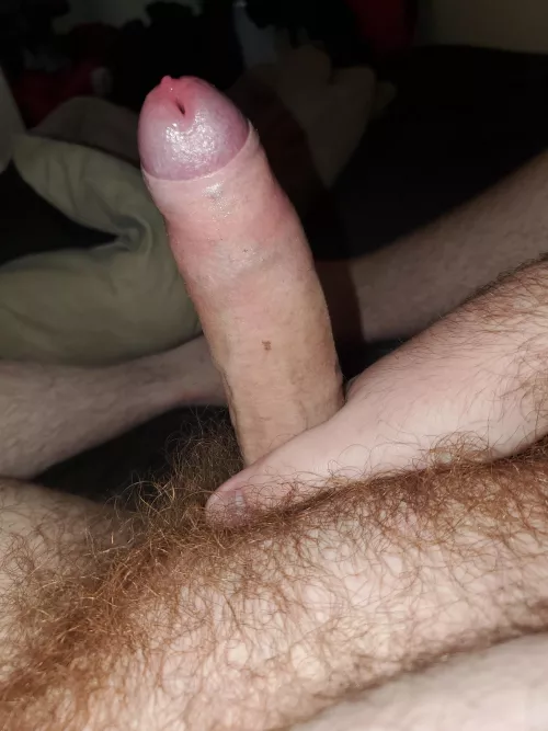 Is my bush nice? by No-Detective7981