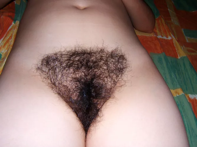 Is my bush too big? (F) by NoEgg6079