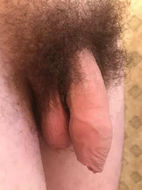 Is there anything more beautiful than an uncut penis? by Yeldarbkh