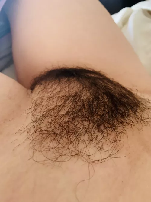 Is this a mountain you want to climb? by Brazen_Cupcake