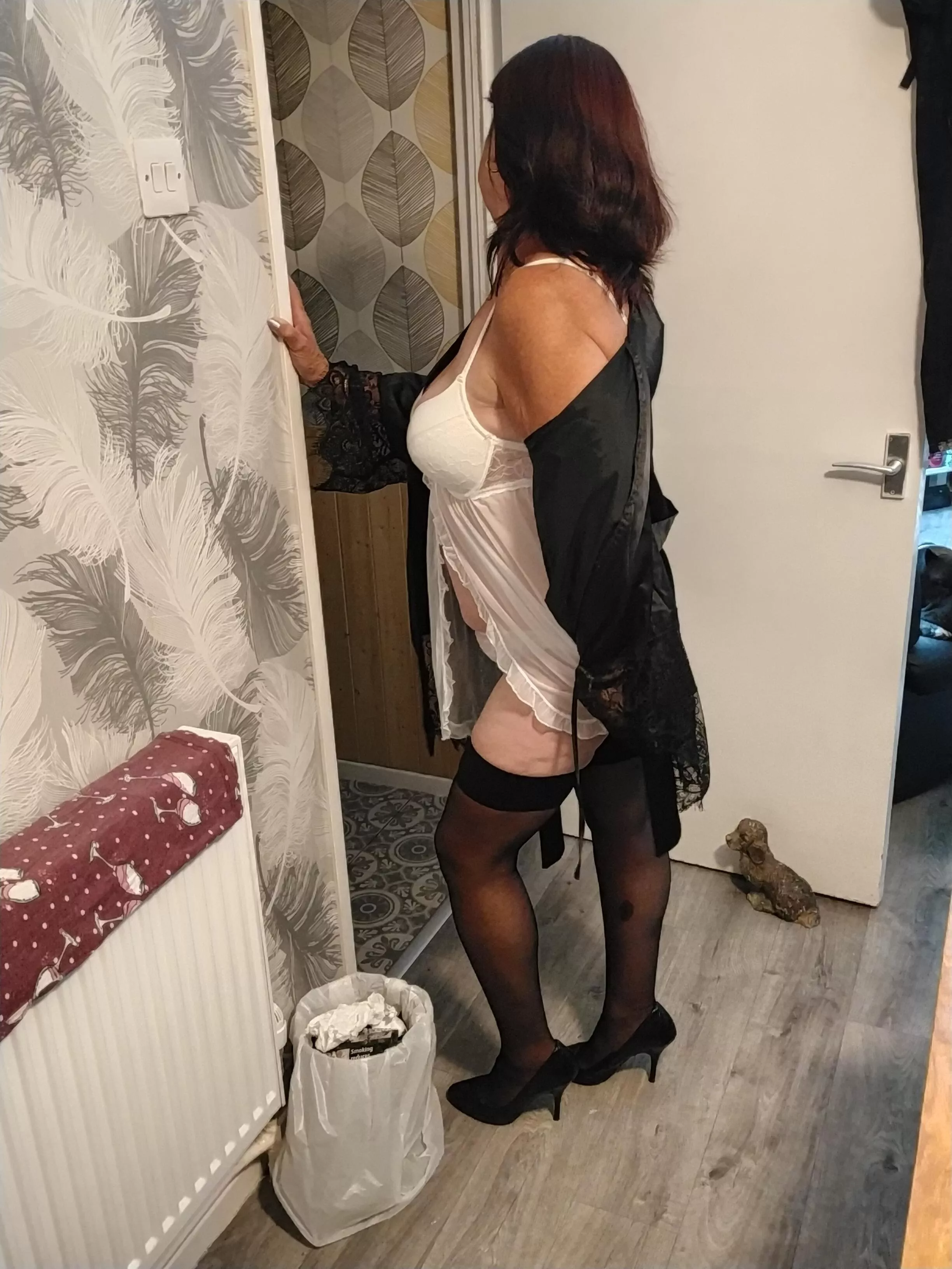 Is this suitable to go dogging in posted by garethkinsey