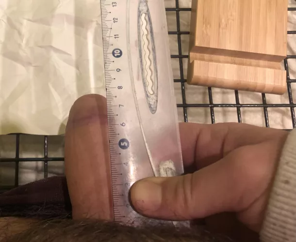 Is this Viking cock enough? by Ok-Release1559