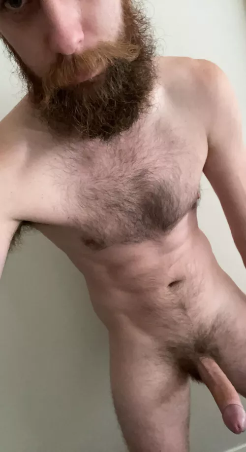 Is this what you came here for? by SirPresent9492