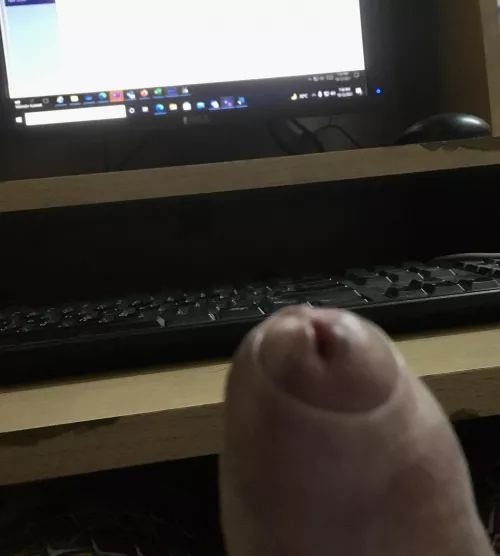 Isn’t it fun? Work from home = getting distracted 100 times a day while scrolling reddit. Share your work from home stories :P by your-fuckbuddy