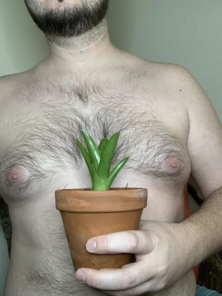 Isn’t my plant cute!? by Scubsnuggles