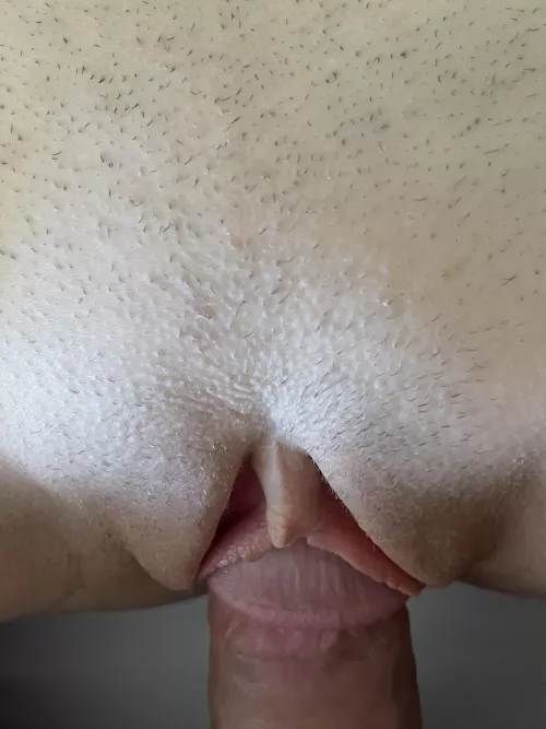 Isn’t she lovely?? (OC) by outtamyshell