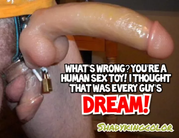 Isn't this what you wanted? by Shadykingcolor