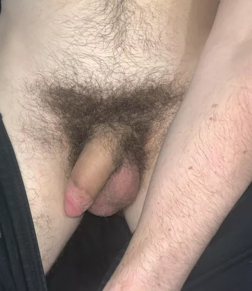 It curves slightly to the right by Short_Oil