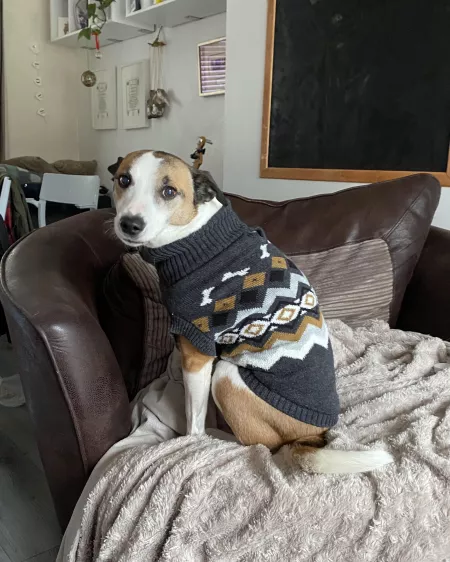 It matches her colours by DougRH