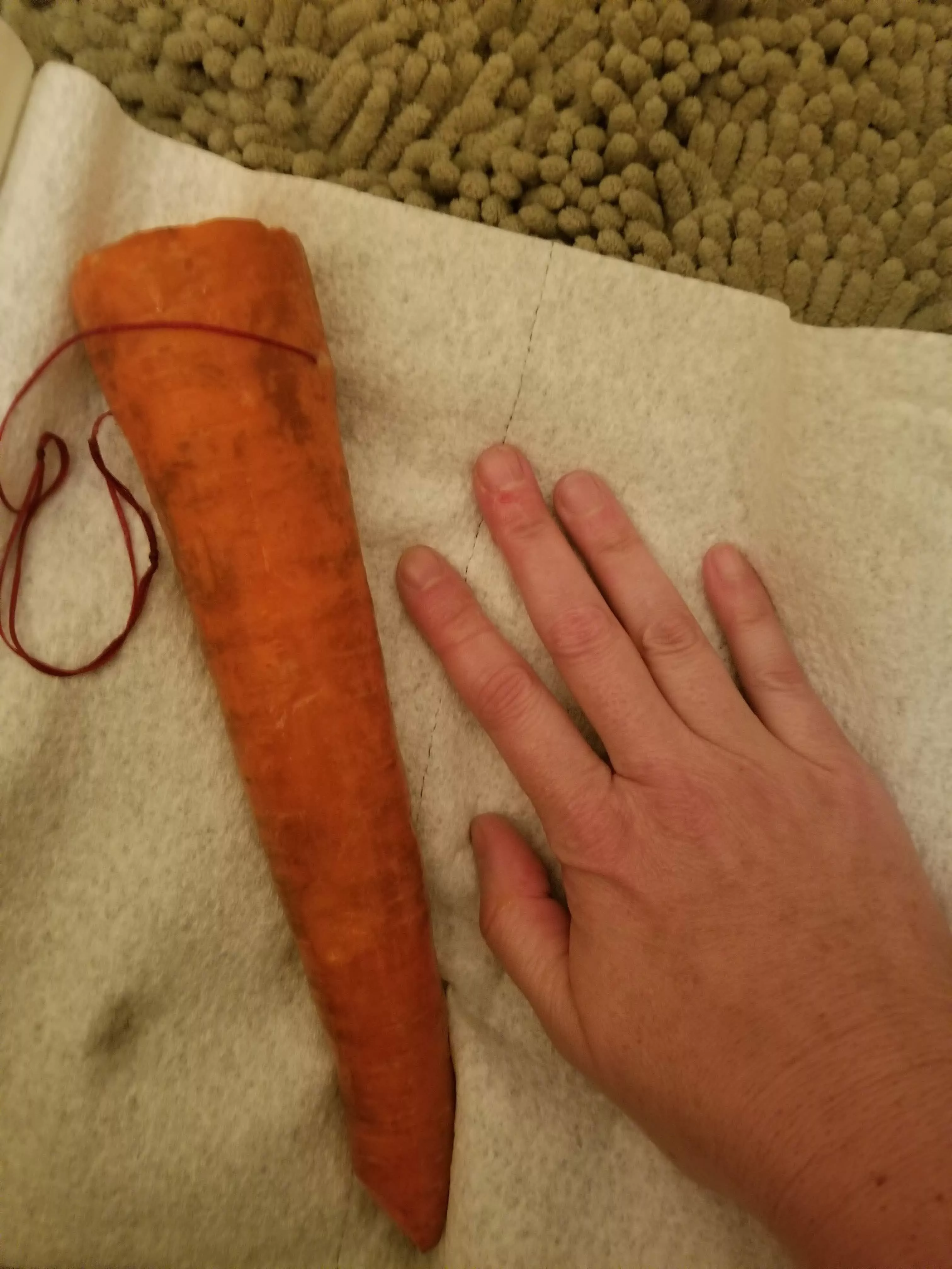 It took a few minutes, but my asshole swallowed this monster carrot posted by Equivalent-Cap-4065