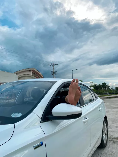 It wants to drive through your sniffs and licking by iamcameronrodriguez