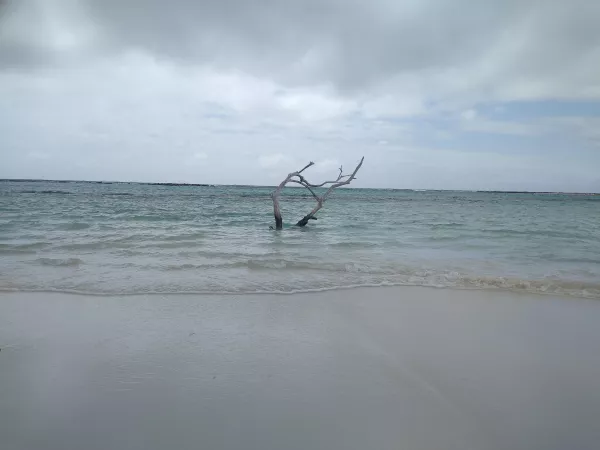 It was a great day at baby beach (ARUBA 2021) by Sakuraleaf73