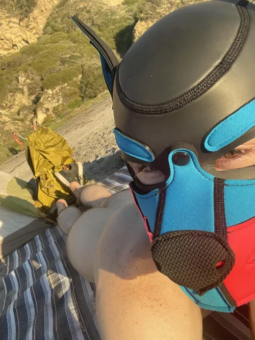 It was a nude beach day for this puppy yesterday 🏖 by pupzak