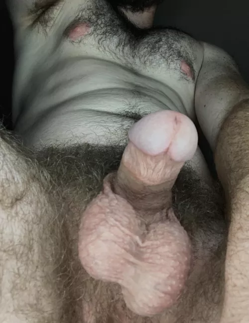 It was very otter Christmas 🦦 🌲 by Ok_Mammoth_2756