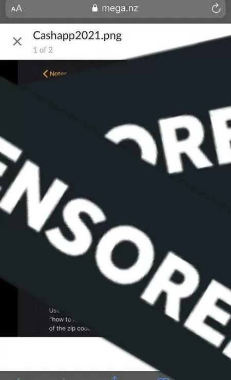 It wont let me post videos so I can't show yall all the sauce but tap in if you tryna make some bread 💰🤝🏿 by fktroll