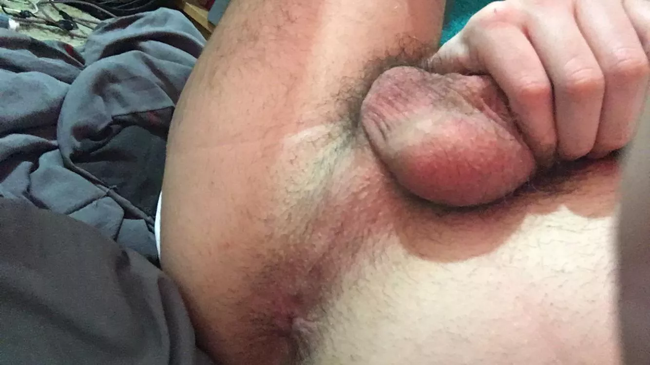 It’s 80 degrees in Alabama today 😅 posted by Pigboy98