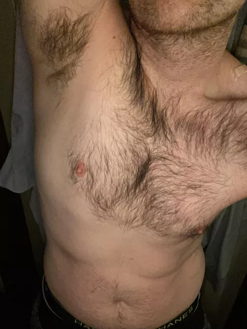 It’s a forest today haha.