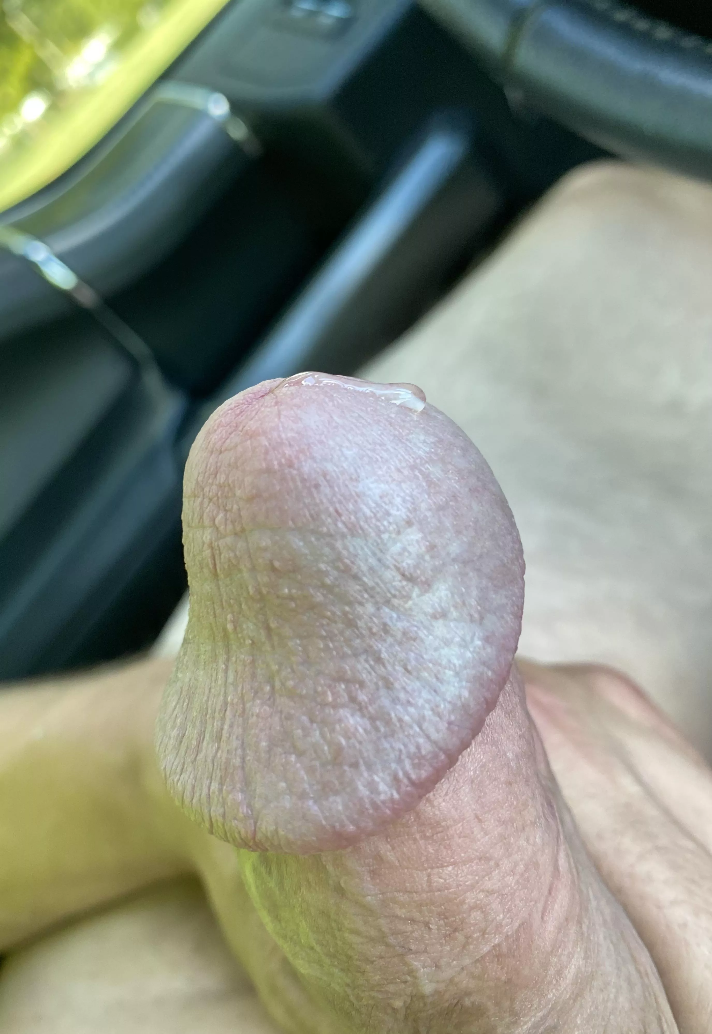 It’s a nice day out! posted by Imaginary_Ad9387