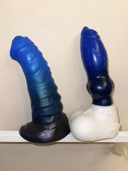 It’s a real dog and pony show tonight! M/M Sleipnir and L/S Diego in their beautiful sig blues💙 by smoothbottom1976