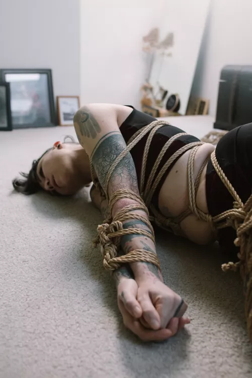 it's a tie by UrsinaeVespera