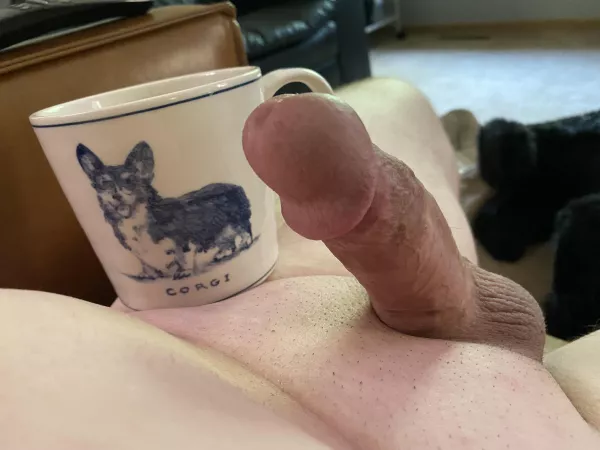 It’s a wonderful Sunday morning! by TheOneandOnly1982