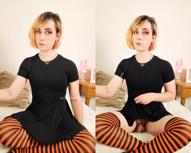 It's almost spooky time! by notheress