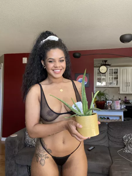 It’s been a while but I’m back!! Can you make me into art??