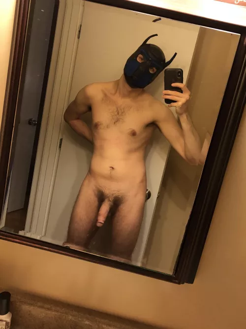 It’s been a while since I’ve got to play 🐾 by deerrock180