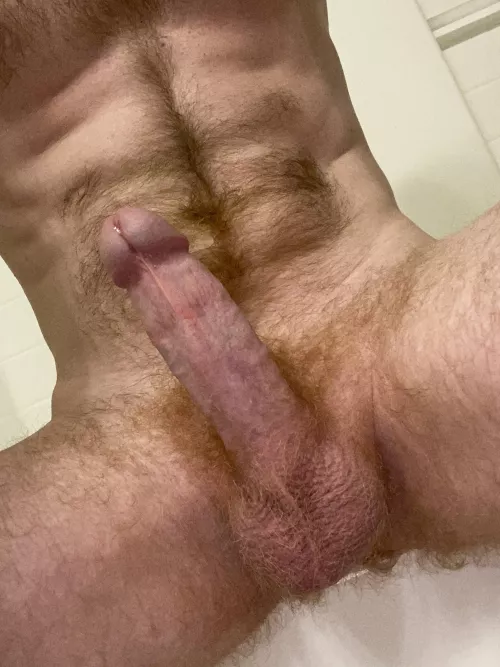 It’s been awhile since I’ve posted. 27 and hung by gingerman3