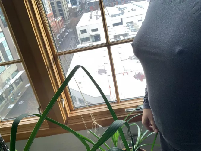 It's chilly out today. 🥶 by Ichipdx