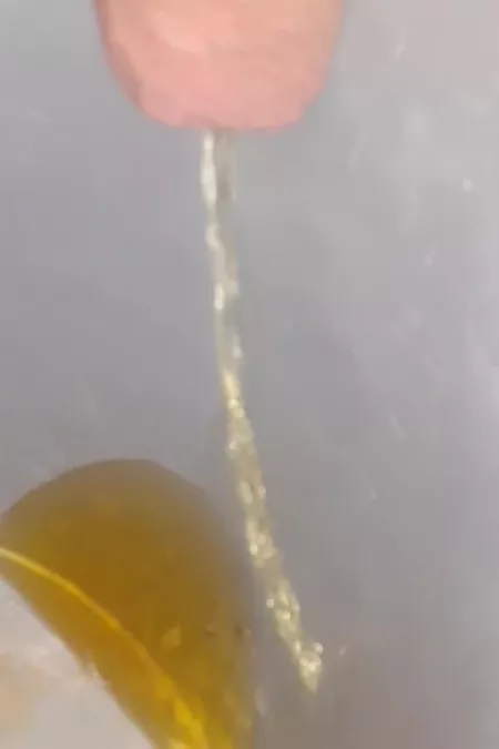 It's cold here, too lazy to get out of bed. by HungUncutDad