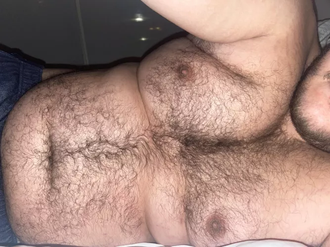 It’s cold out, who wants to cuddle? by Hairbair12