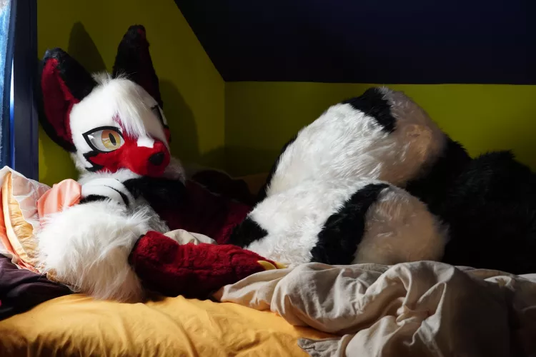 It's freezing. Got a blanket to share? by PreyingShark