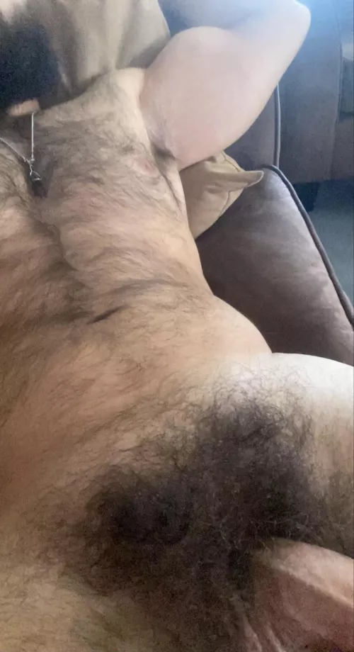 It’s furry season 😉 by hunkywerewolf