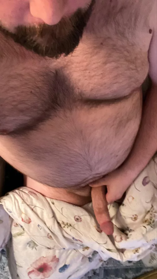 It’s getting cold. Who needs a good snuggle? by bearlytherenow