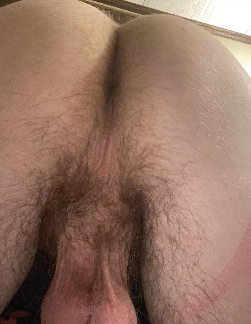 It’s hairy. Is that ok posted by SingleMusician9651