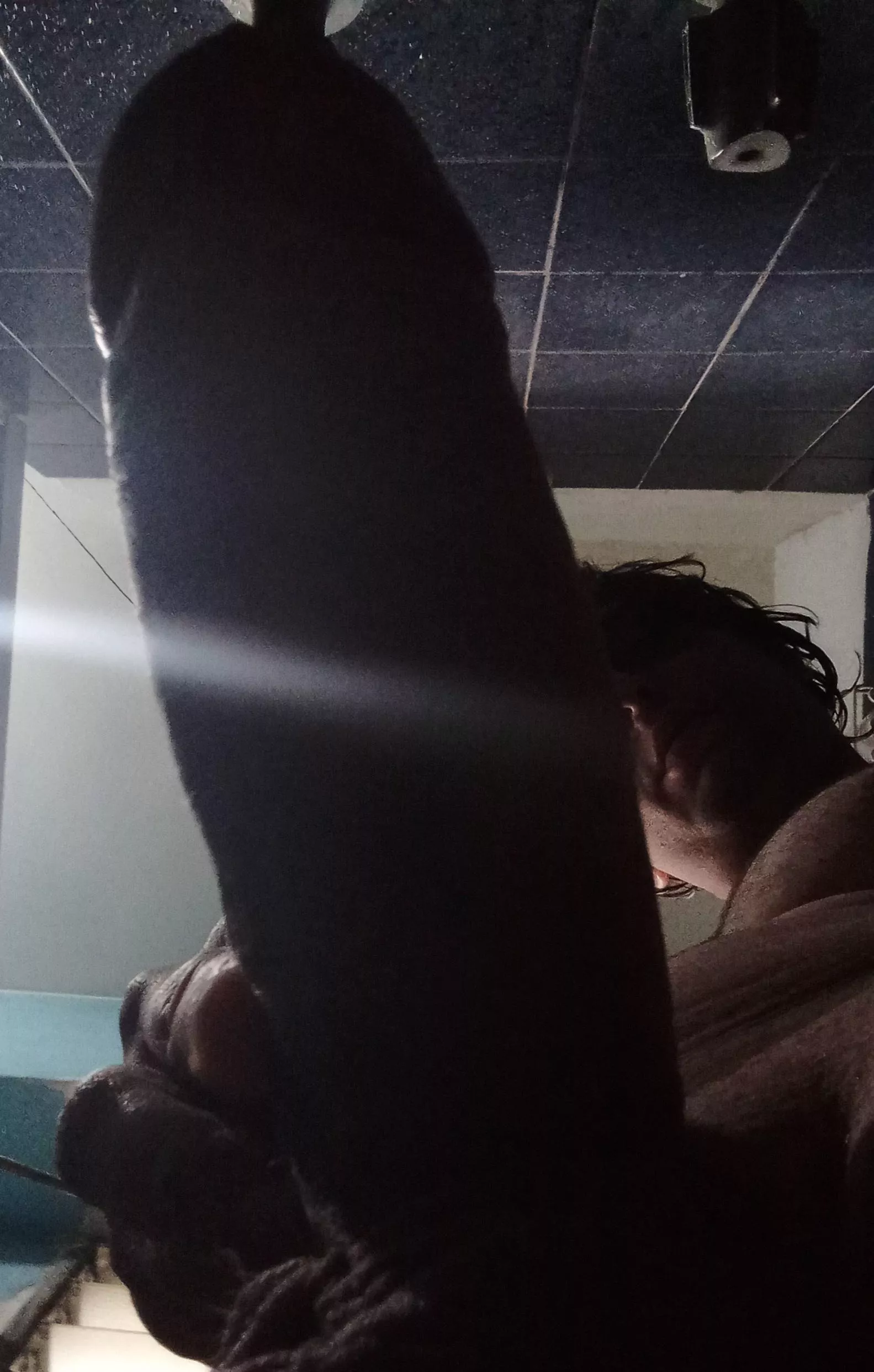 It's hard for me to make it fit in the pic 😥 posted by Garamond_Boyd