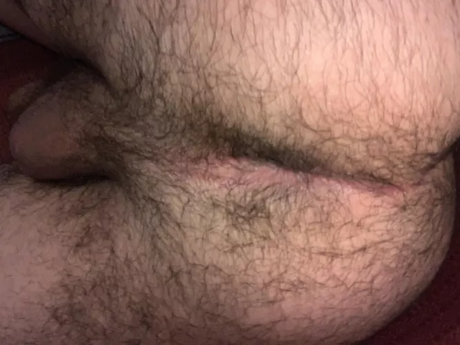 It’s hungry by Historical-Hawk-3713