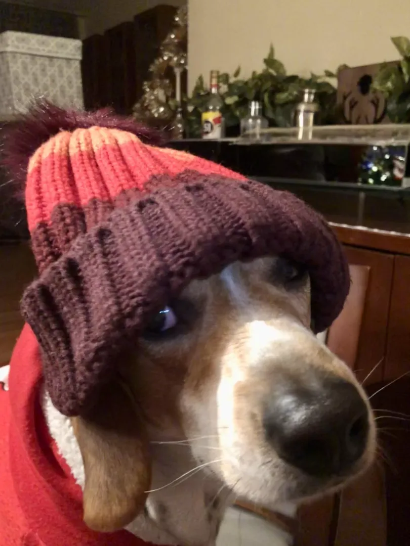 It’s not that cold mom... posted by BearCatcher23