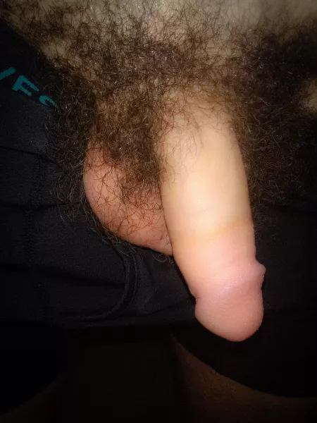 It's not the biggest, but it gets the job done. [25] 👀 by internetgod444