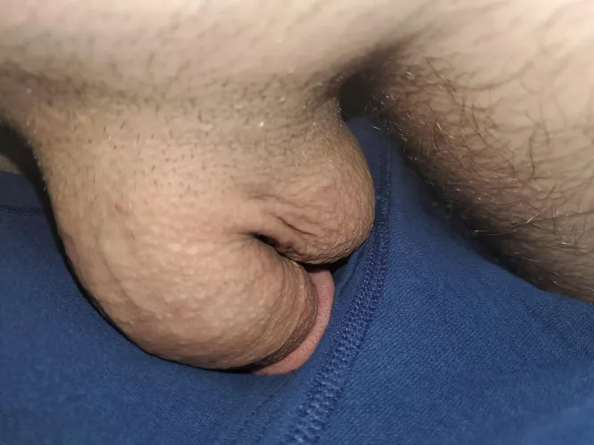 It's ok little buddy, you can be free after work. by raisin471