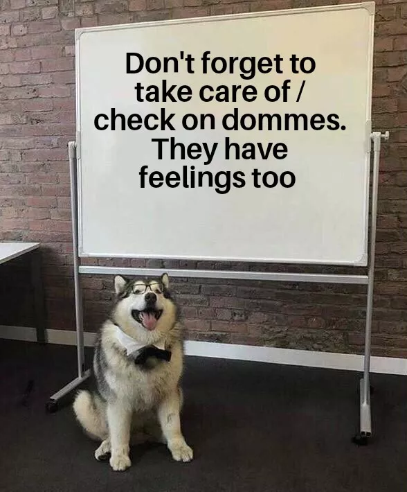 It's okay to want a hug or to rest in a lap. It doesn't make you less dominant to need comfort. It's okay to need a shoulder to cry on. I hope you're doing okay and if not we can change that :) posted by CameHere_To_Ask
