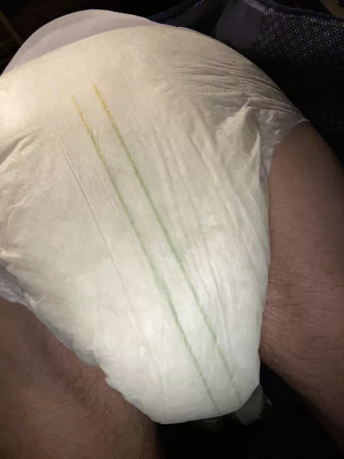 It’s overflowing out the sides, soaked with piss by treebits35