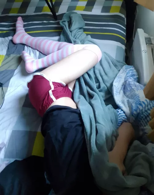 >//< it's so cold today, it's definitely snuggle season🥺 Who wanna come keep me warm? by kyorashi